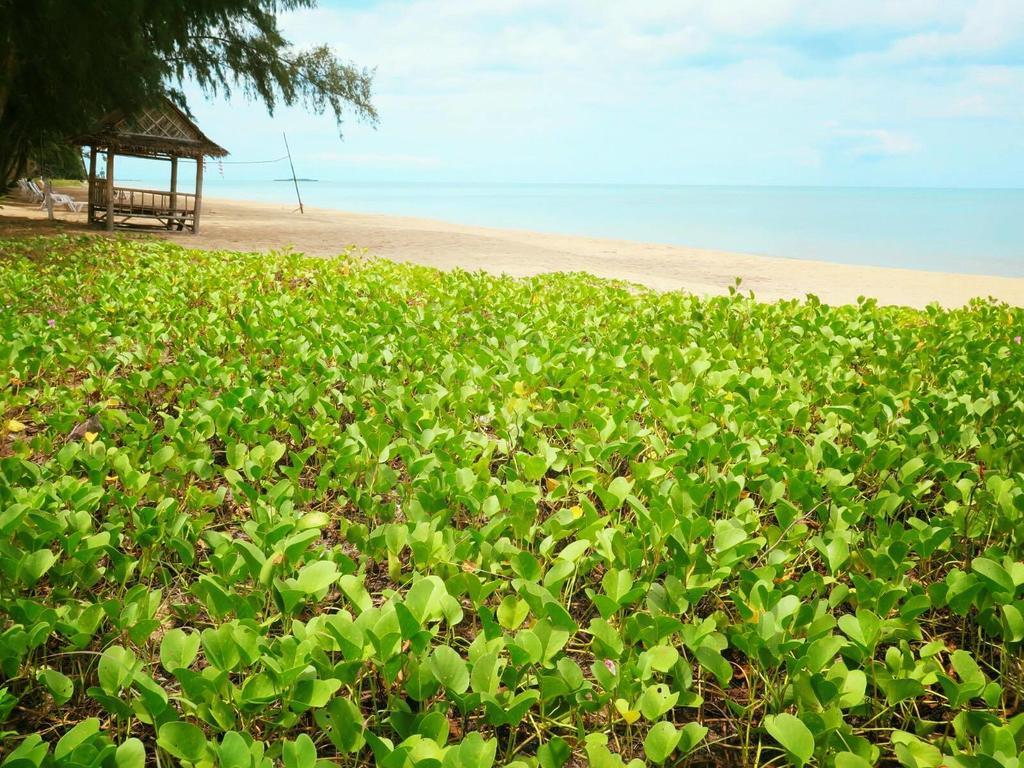 Bayview Beach Resort Ban Krut  Luaran gambar